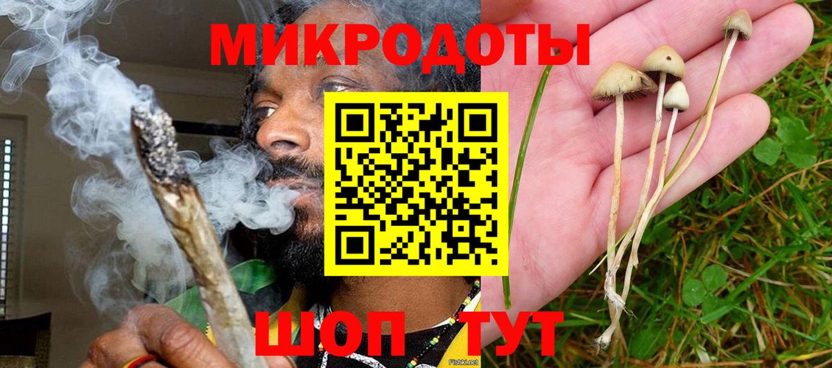 Галлюциногенные грибы Cubensis Феодосия