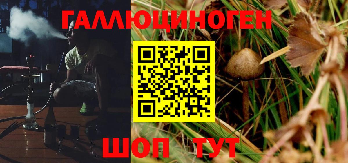Псилоцибиновые грибы Psilocybine cubensis  Галлюциногенные грибы прущие грибы  Феодосия  дарнет шоп  Вход с VPN 